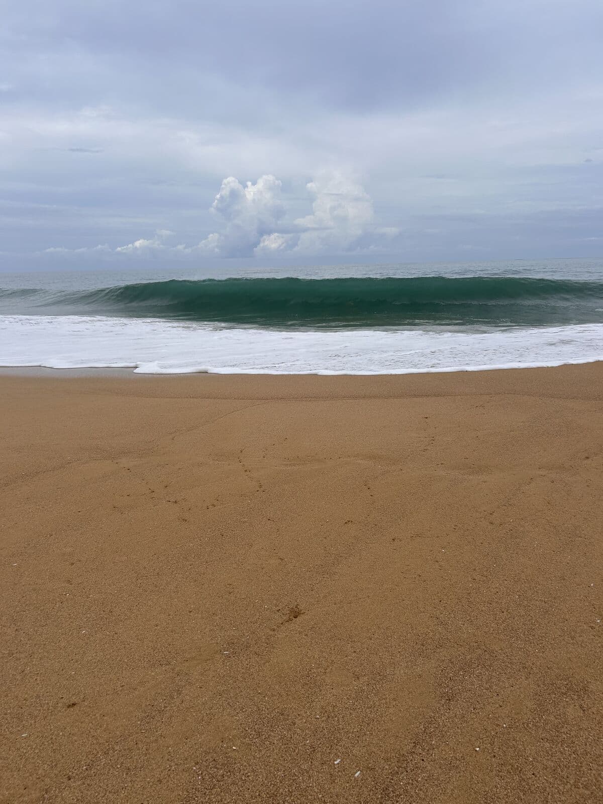 Wave breaking on the sand at Bluff Beach, Isla Colón