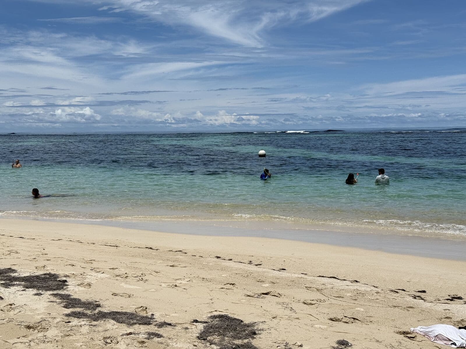 Palms leaning over a wild stretch of Caribbean beach in Bocas del Toro