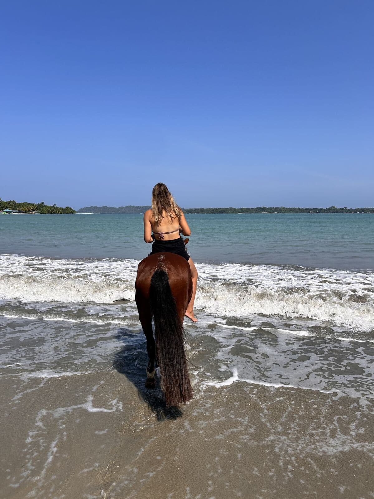 Rider carrying a surfboard on horseback along the shoreline in Bocas del Toro