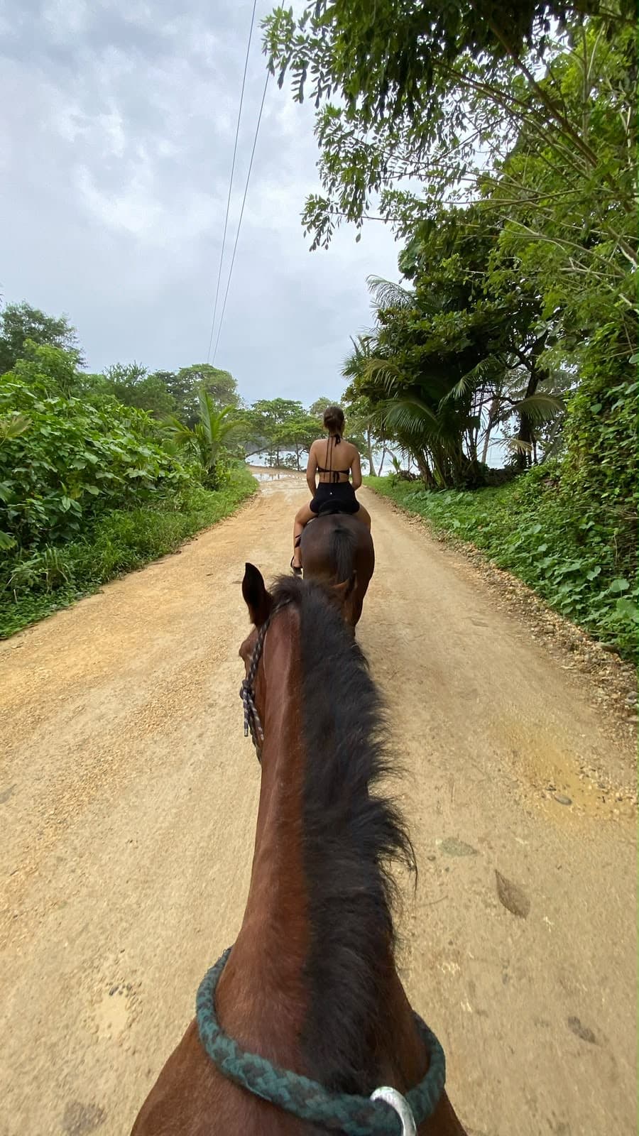 Riding a horse down a jungle track towards the sea