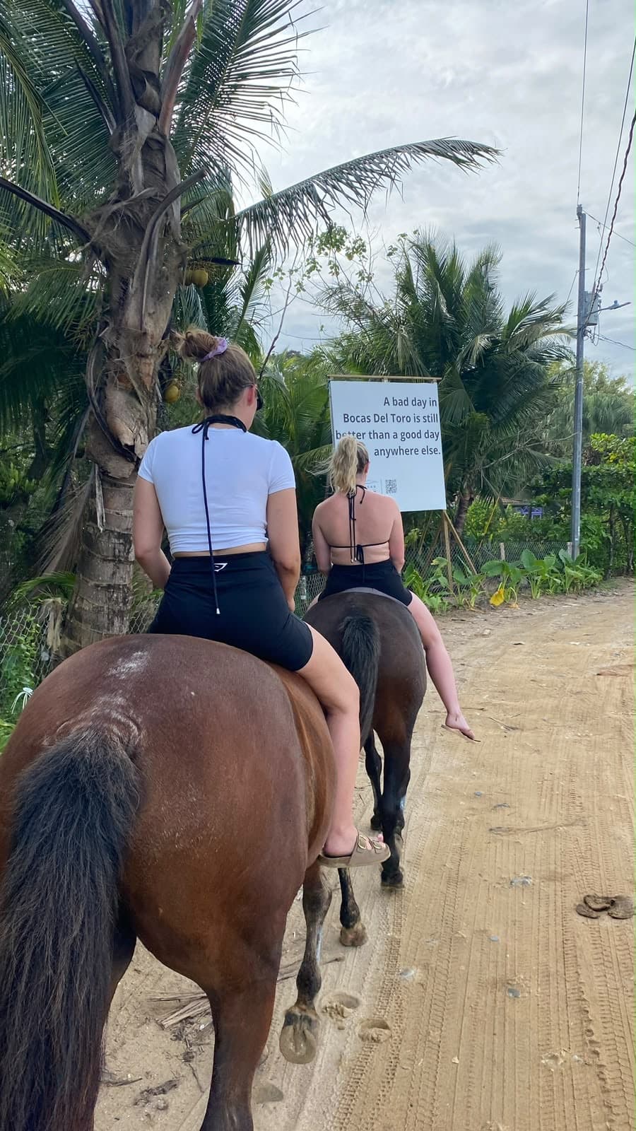 Two riders on horseback passing palm trees on a dirt road