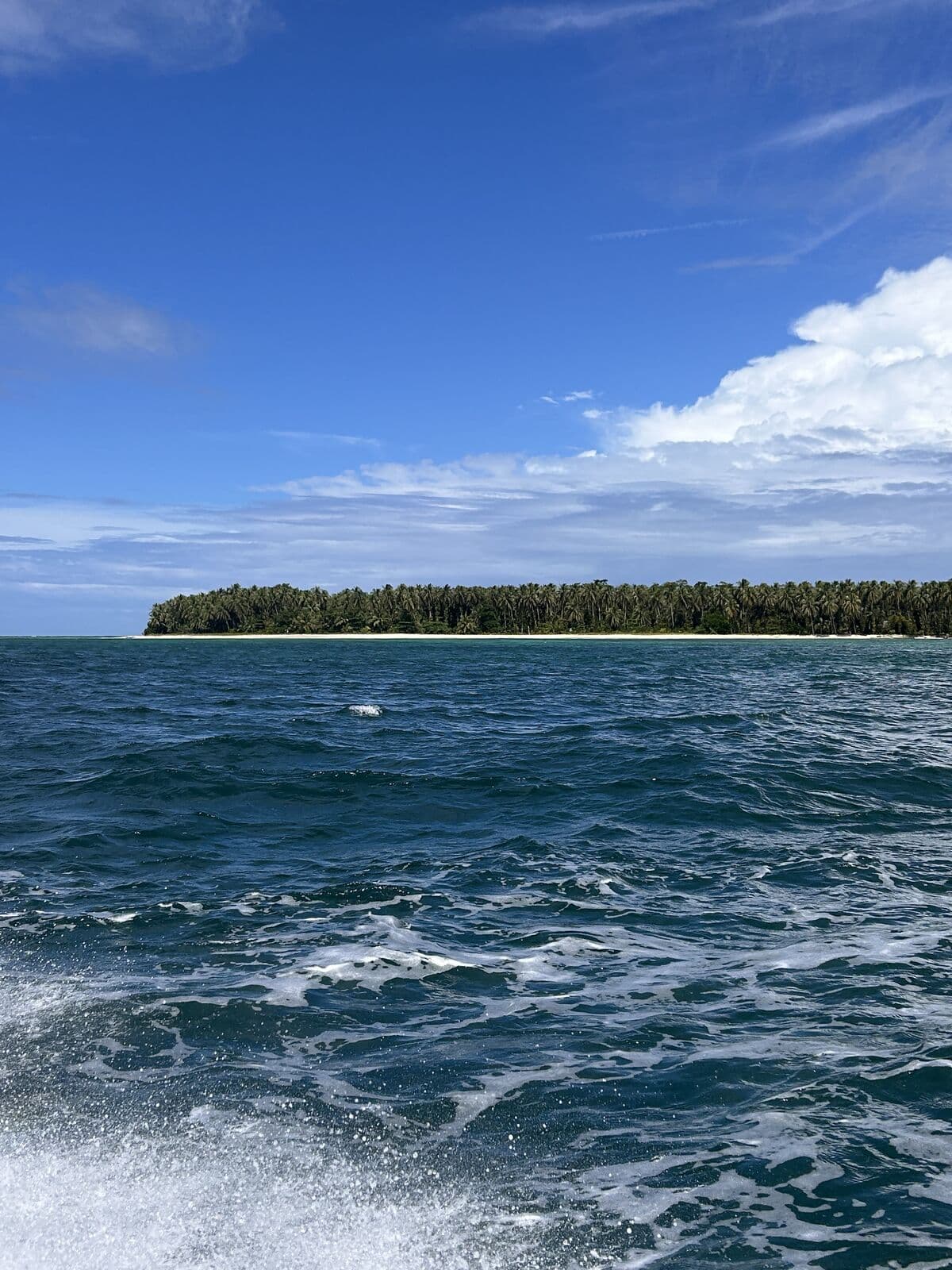 A green island seen from a boat in the Bocas del Toro archipelago
