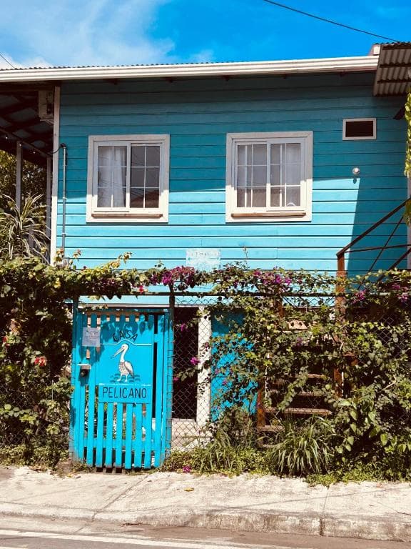 Interior at Casa Pelicano in Bocas Town